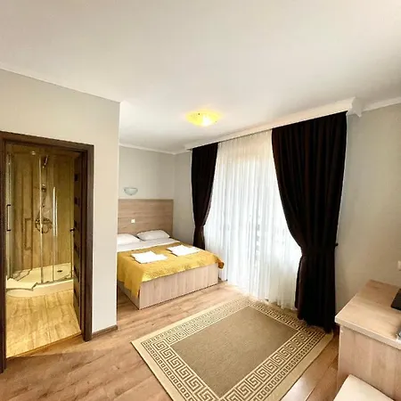 Guest house Luminita 3*