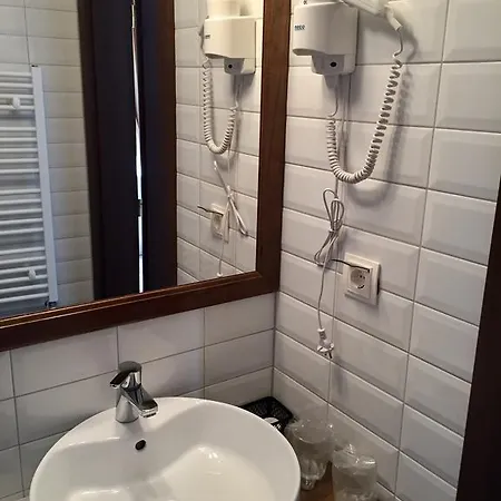 Luminita Guest house Singeorz-Bai